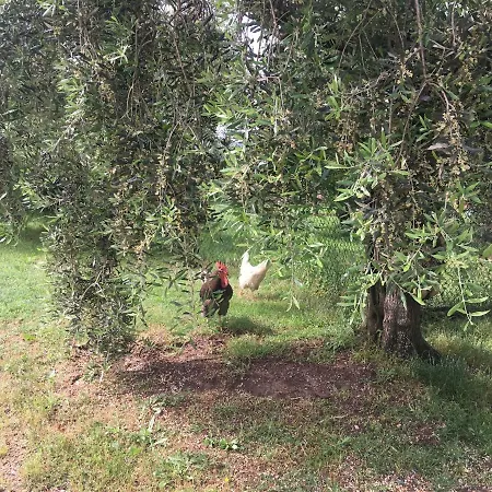 Agriturismo Tenute Poggio Di Bobi Farm stay Lamporecchio